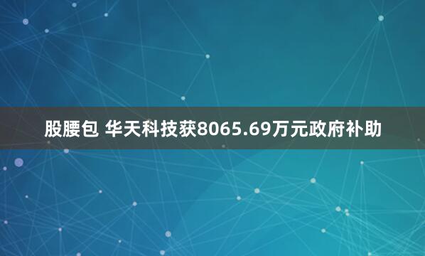 股腰包 华天科技获8065.69万元政府补助