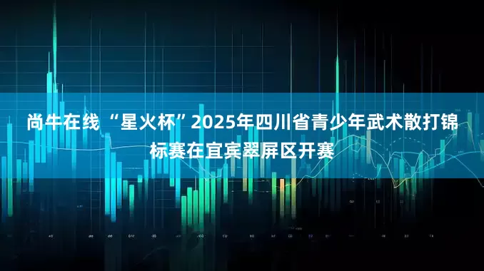 尚牛在线 “星火杯”2025年四川省青少年武术散打锦标赛在宜宾翠屏区开赛