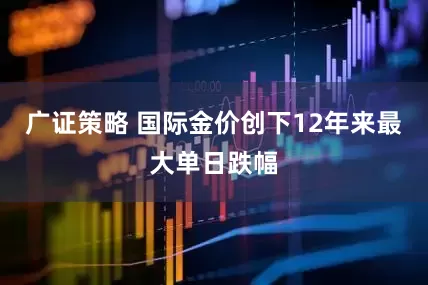 广证策略 国际金价创下12年来最大单日跌幅