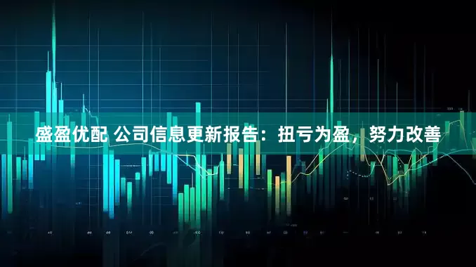 盛盈优配 公司信息更新报告：扭亏为盈，努力改善